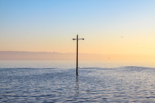 brown post on body of water in Salton Sea United States