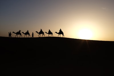 silhouette of people riding on camels wise men teams background