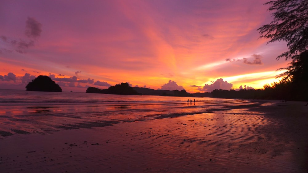 three person near seashore during golden hour