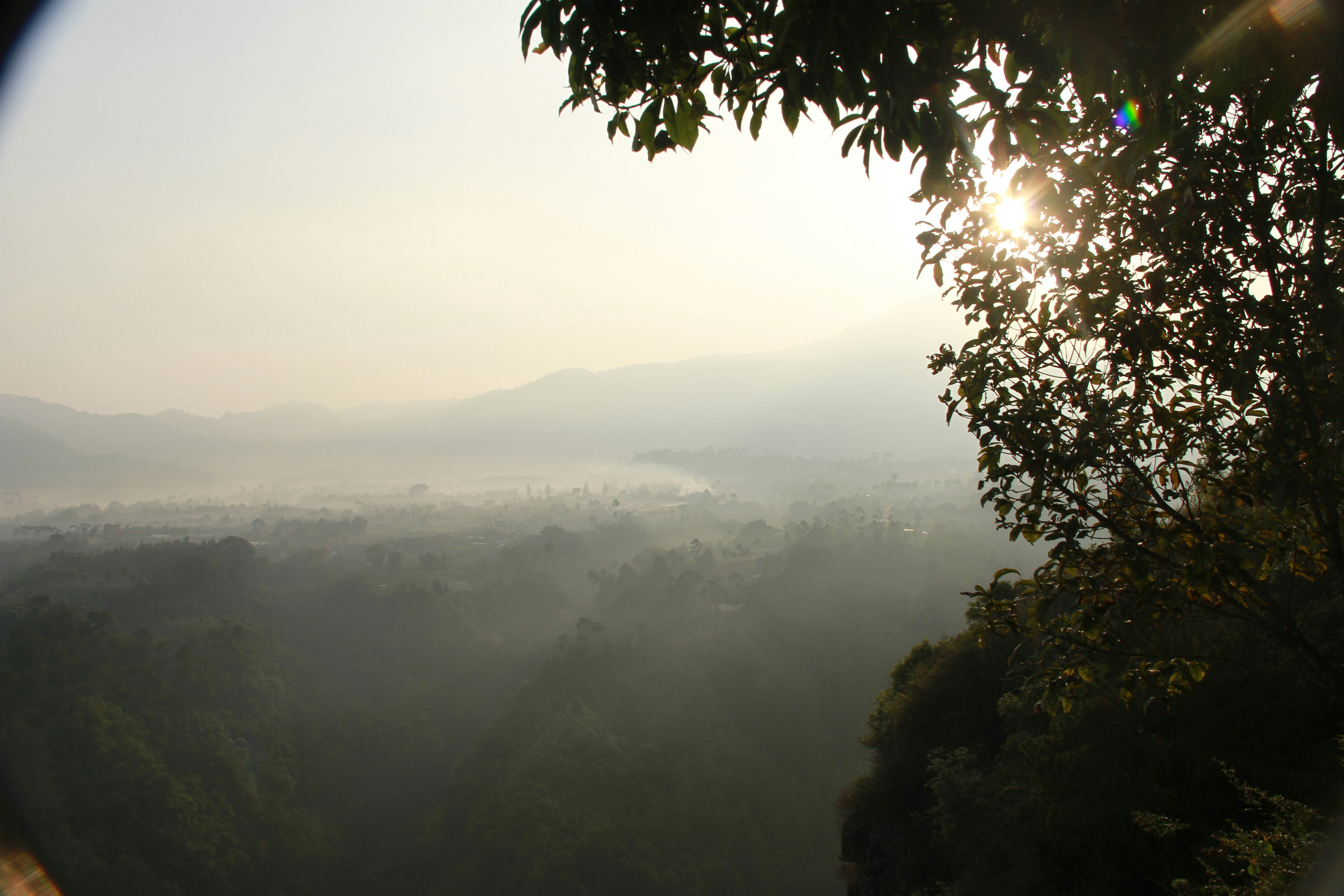 Free Unsplash photo from Alvina Wello