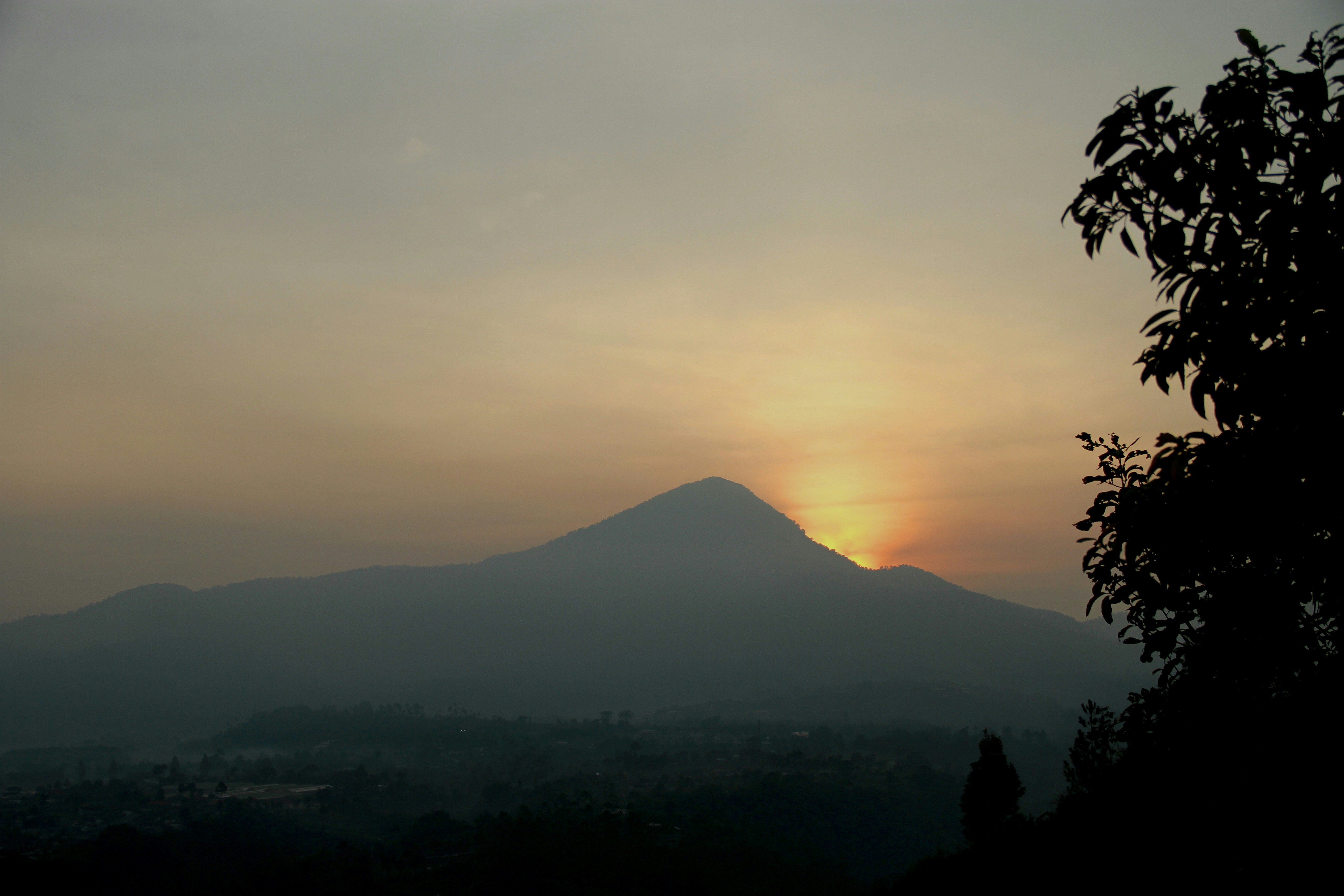 Free Unsplash photo from Alvina Wello