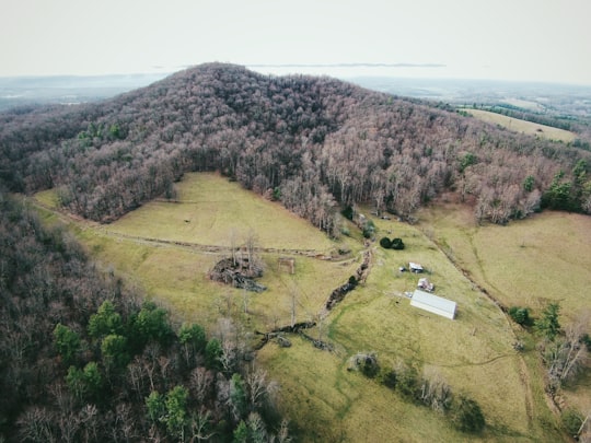 aerial photograph of a forest in Rocky Mount United States