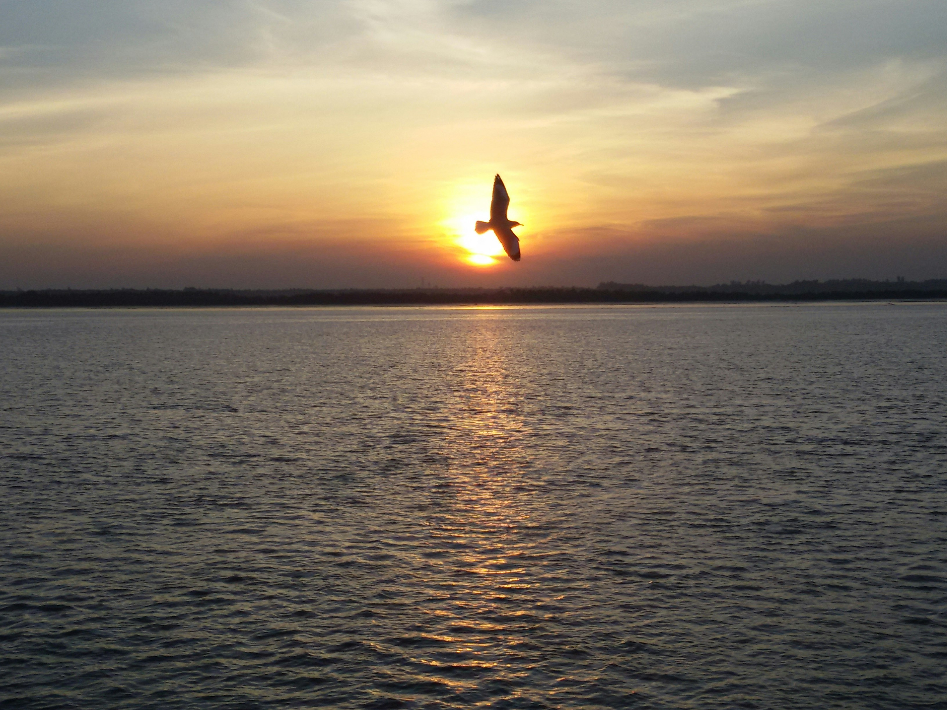 Free Unsplash photo from Qawsin Ahmed