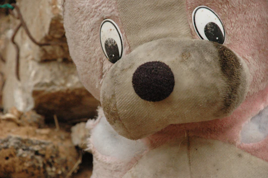 Close-up of a stained upholstery with visible furry pet marks and discoloration.