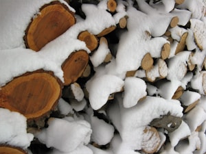 Hochwertiges Brennholz