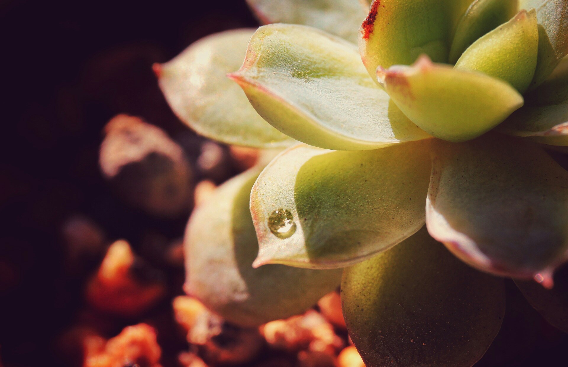 Free Unsplash photo from forestland Liu