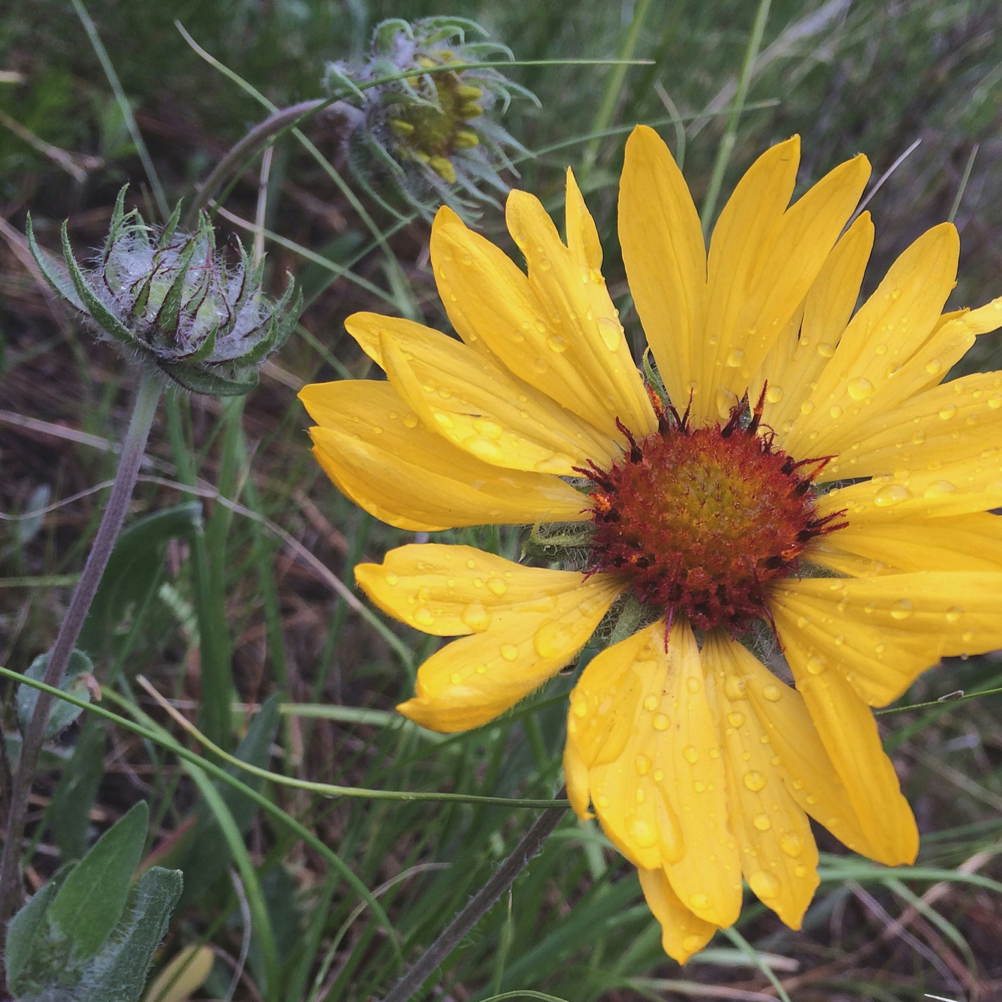 Free Unsplash photo from Leeann Talbert