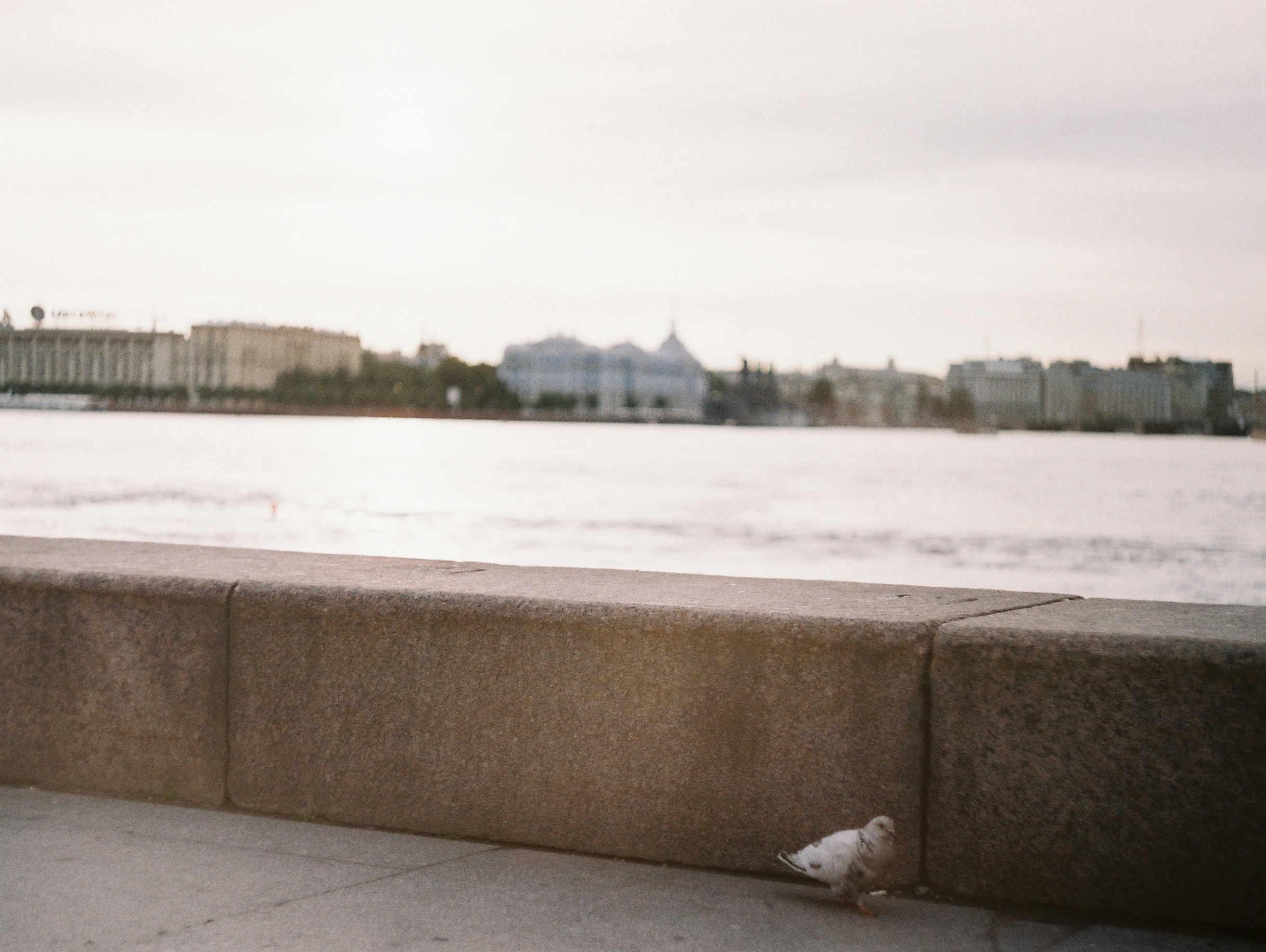 Free Unsplash photo from Alex Ger