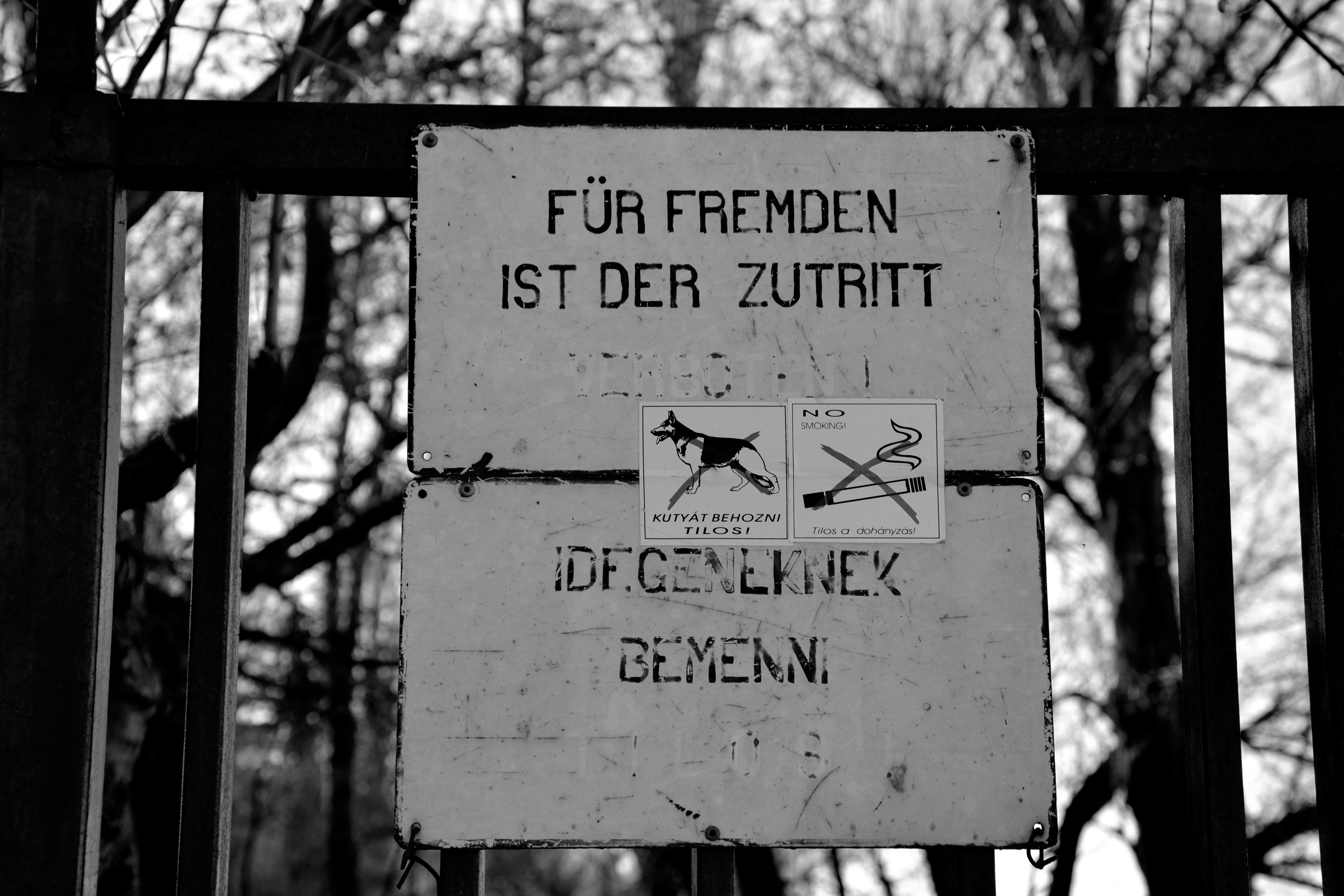 Free Unsplash photo from Szőllősy Benjamin