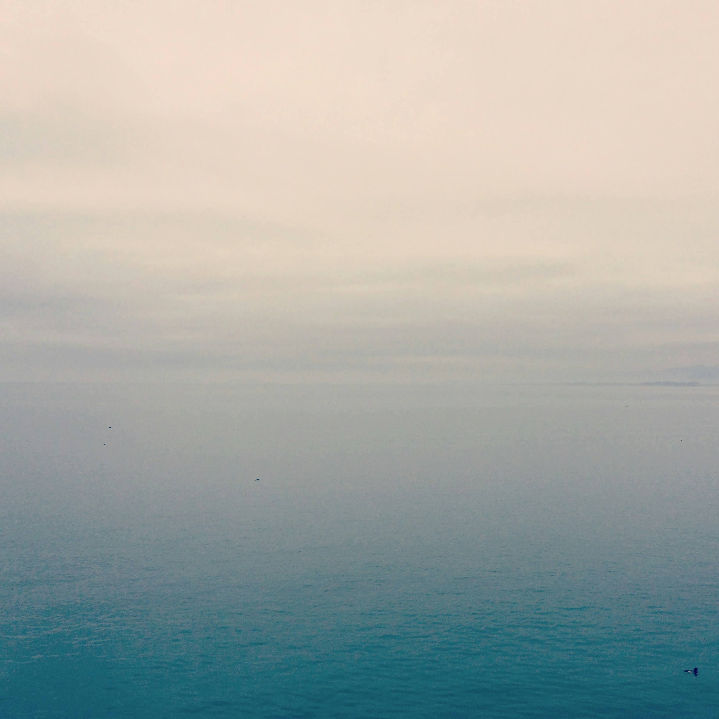 Free Unsplash photo from William Felker