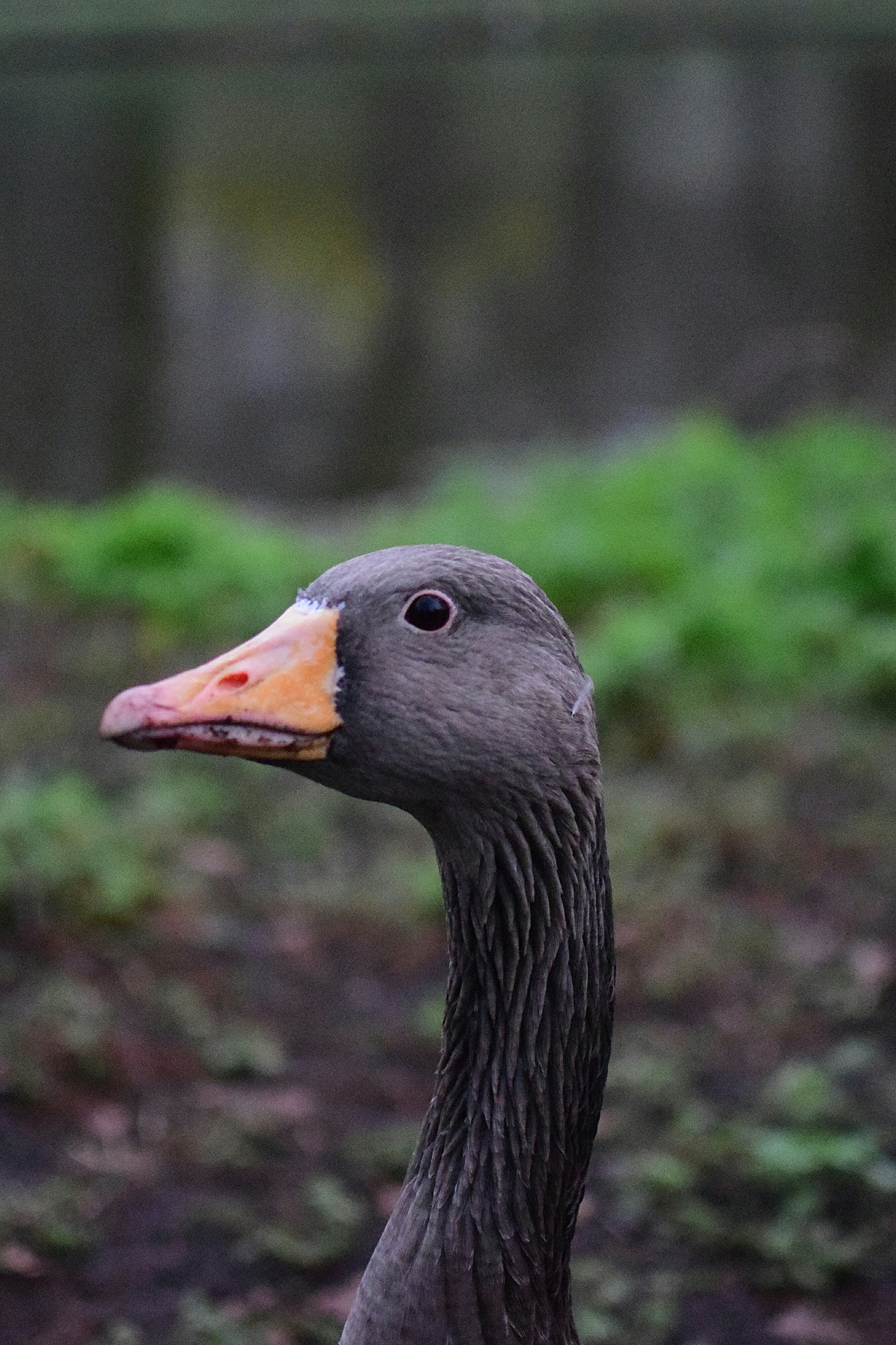 Free Unsplash photo from NATHAN MYERS