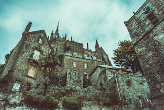 worm's eye view of brown castle