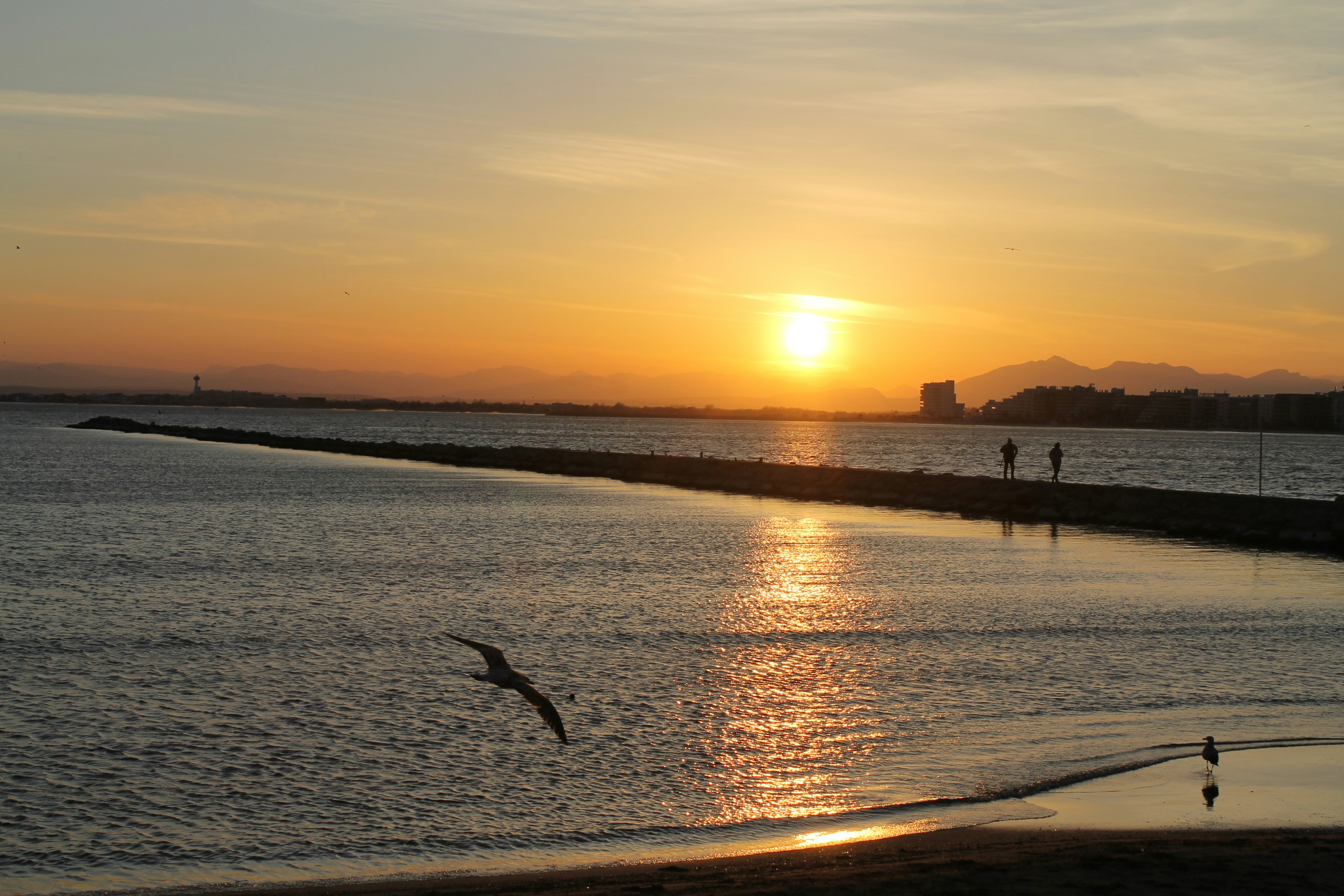 Free Unsplash photo from Pascal Chanel