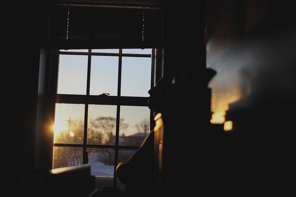 silhouette photography of window