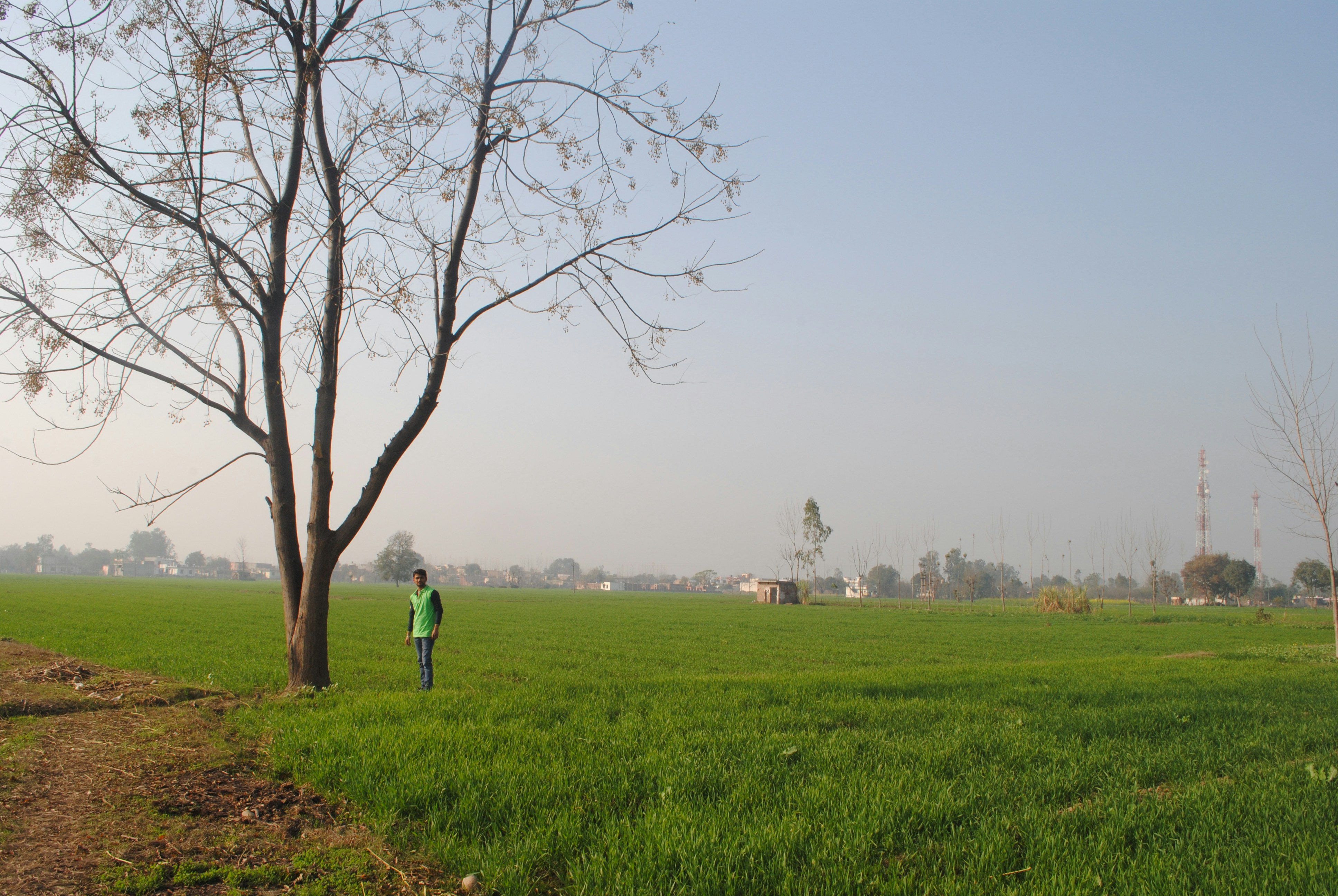 Free Unsplash photo from mohit kumar