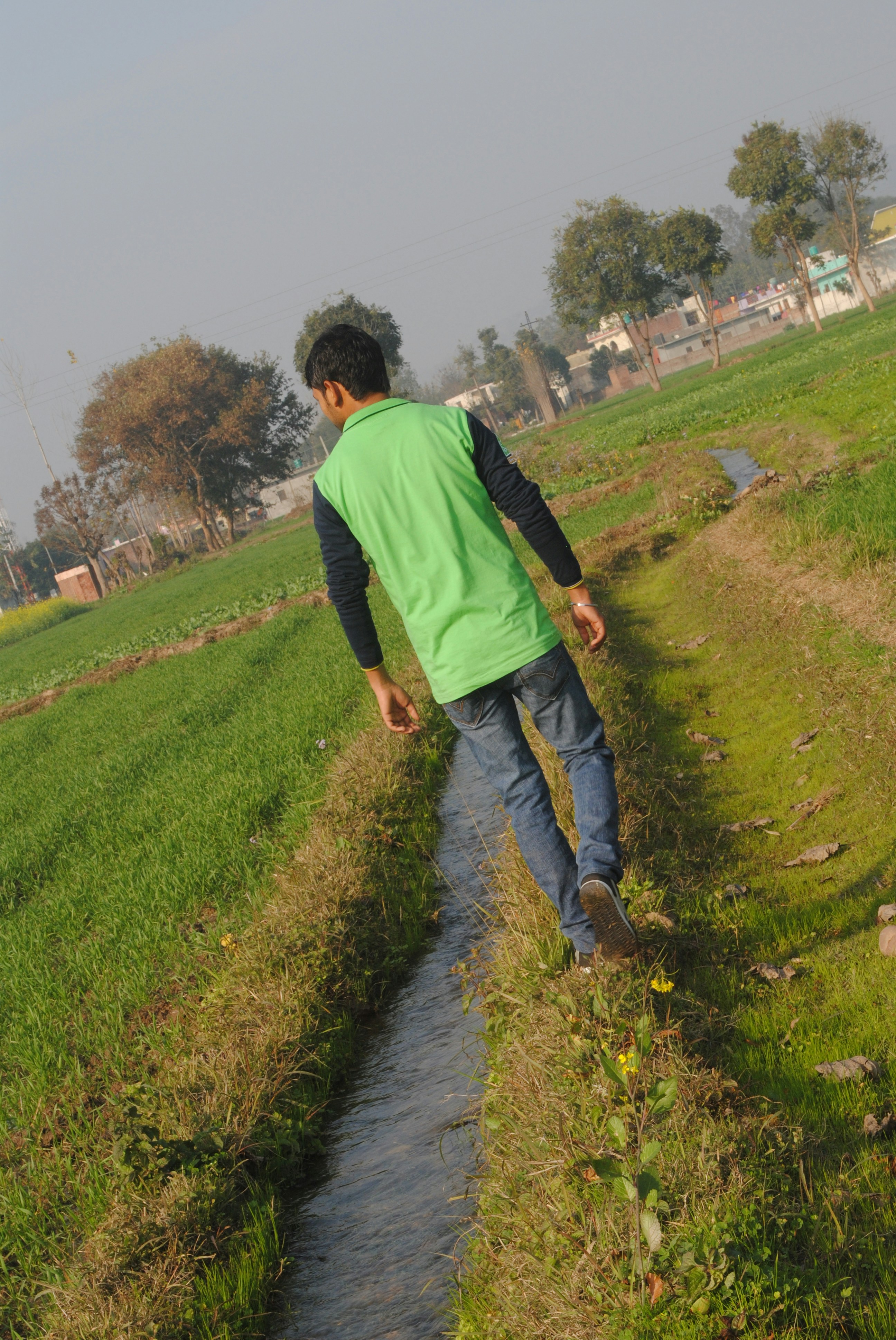 Free Unsplash photo from mohit kumar