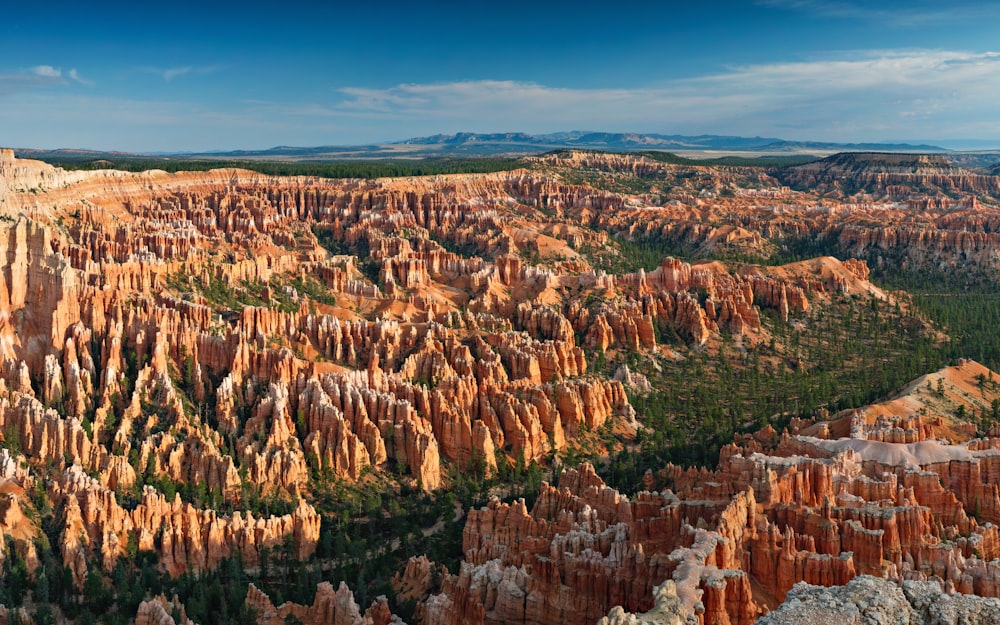 aerial photography of mountain and tree