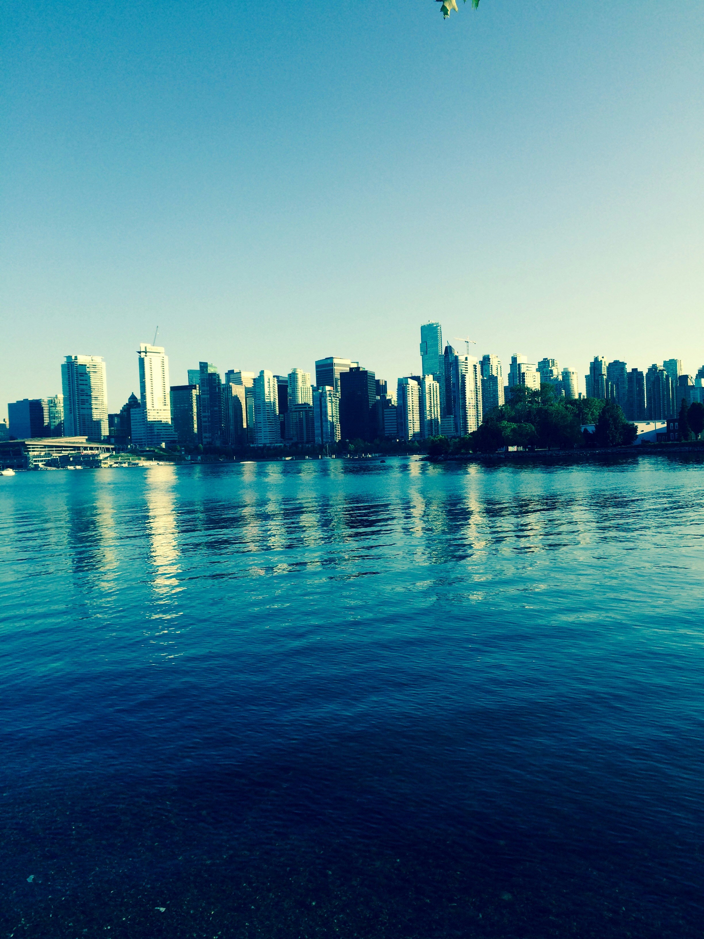 Free Unsplash photo from Anderson  Smith