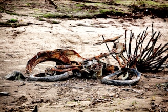 A damaged motorcycle ready for parts extraction.