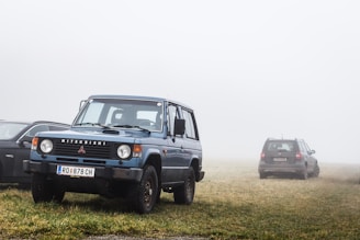 Several vehicles are parked on a grassy field under foggy conditions. A blue Mitsubishi SUV is in the foreground with visible license plates, while other cars are further in the background, partially obscured by the fog. The mood is quiet and atmospheric, with limited visibility due to the dense mist.