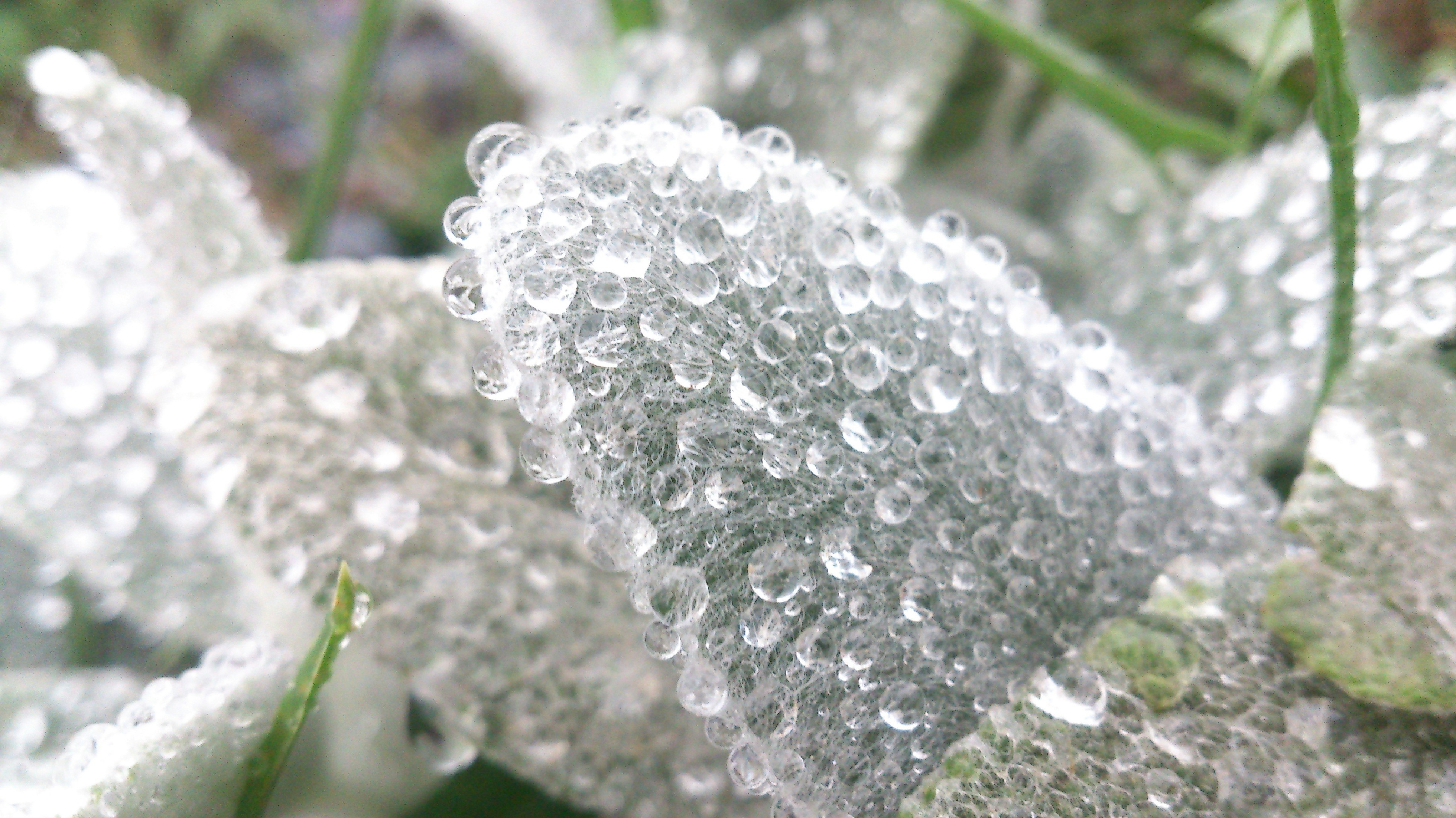 Free Unsplash photo from iman karimi