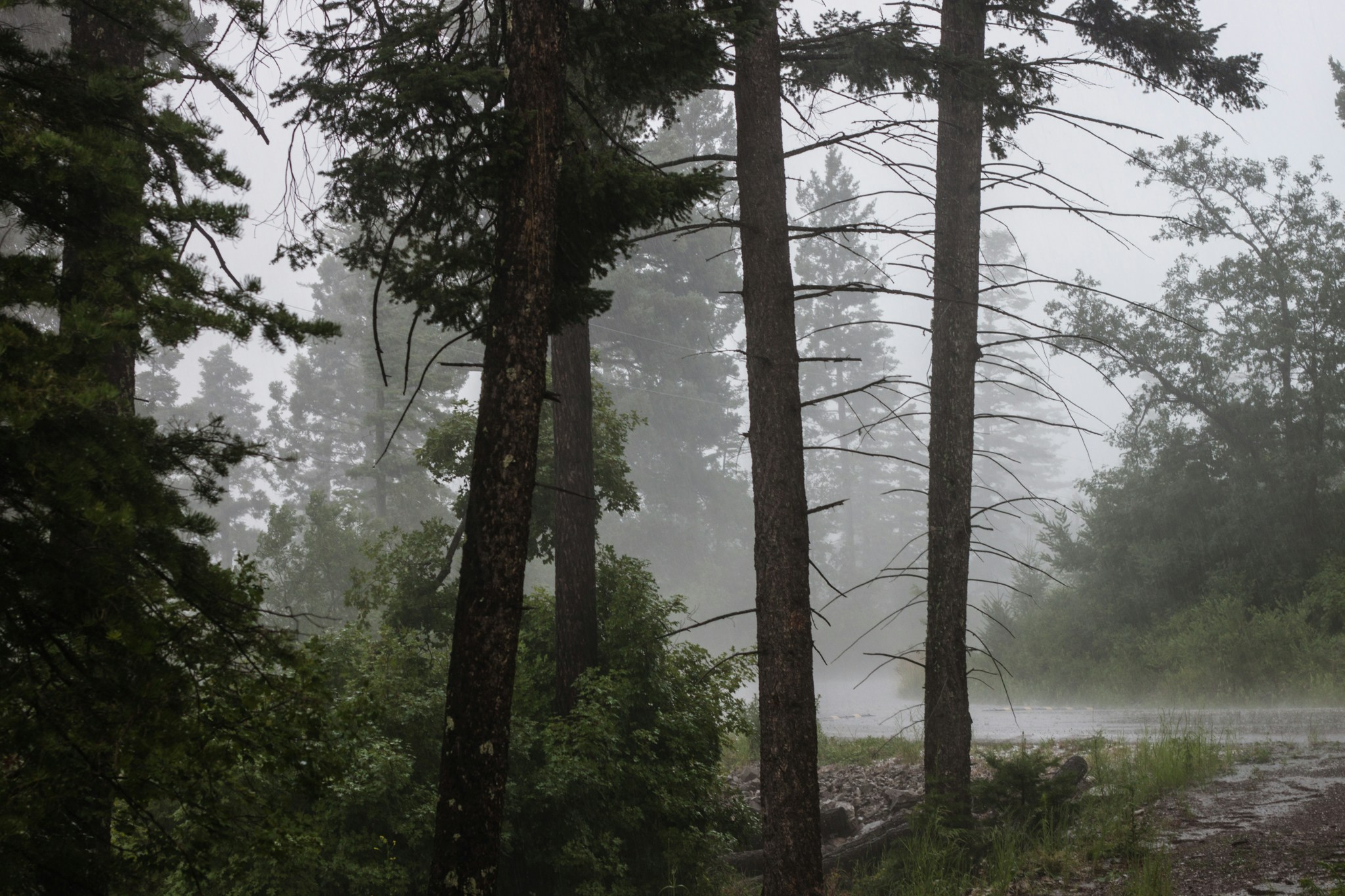 Free Unsplash photo from Ian Baldwin