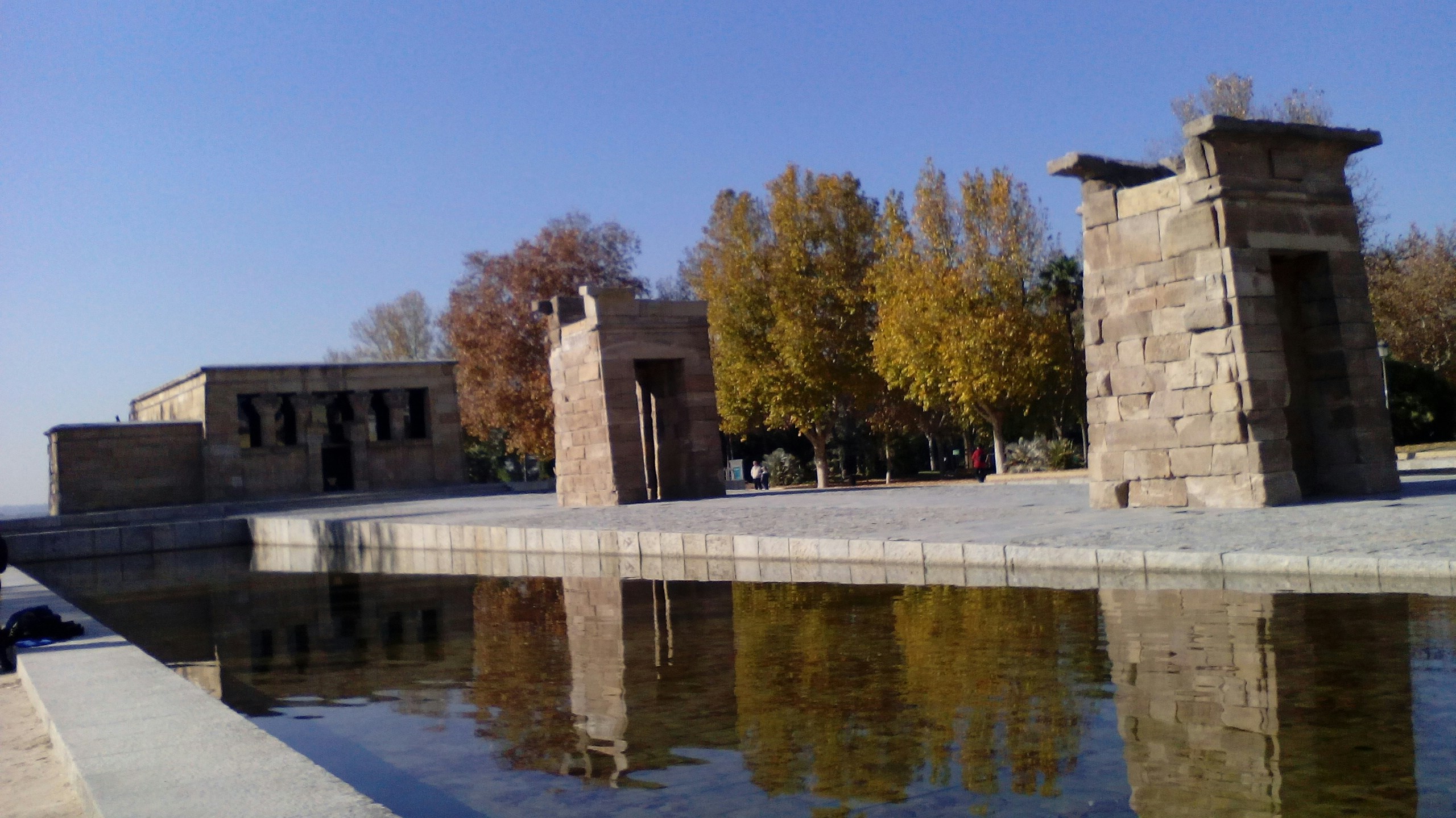 Free Unsplash photo from Patricia Rodriguez