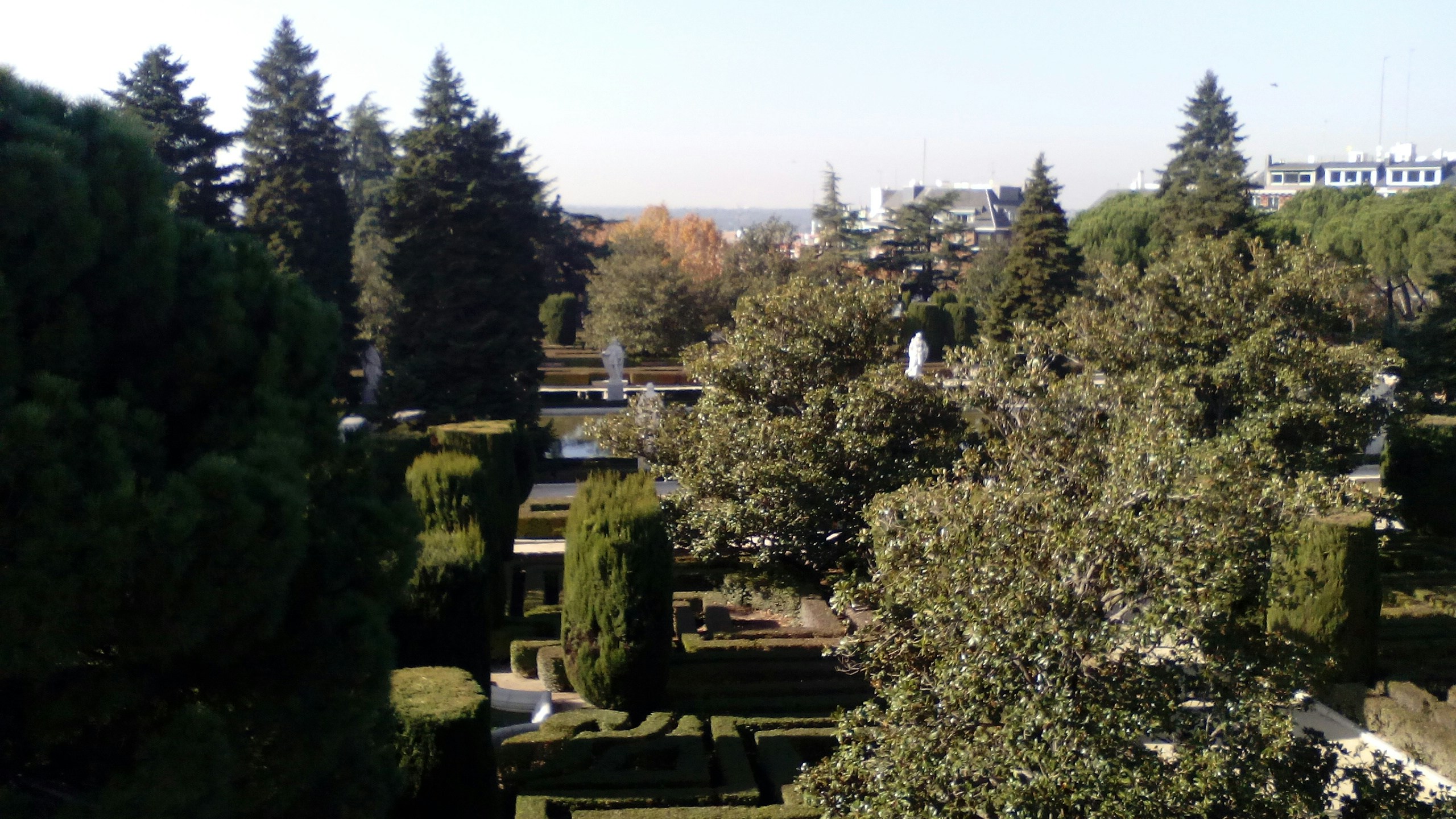 Free Unsplash photo from Patricia Rodriguez