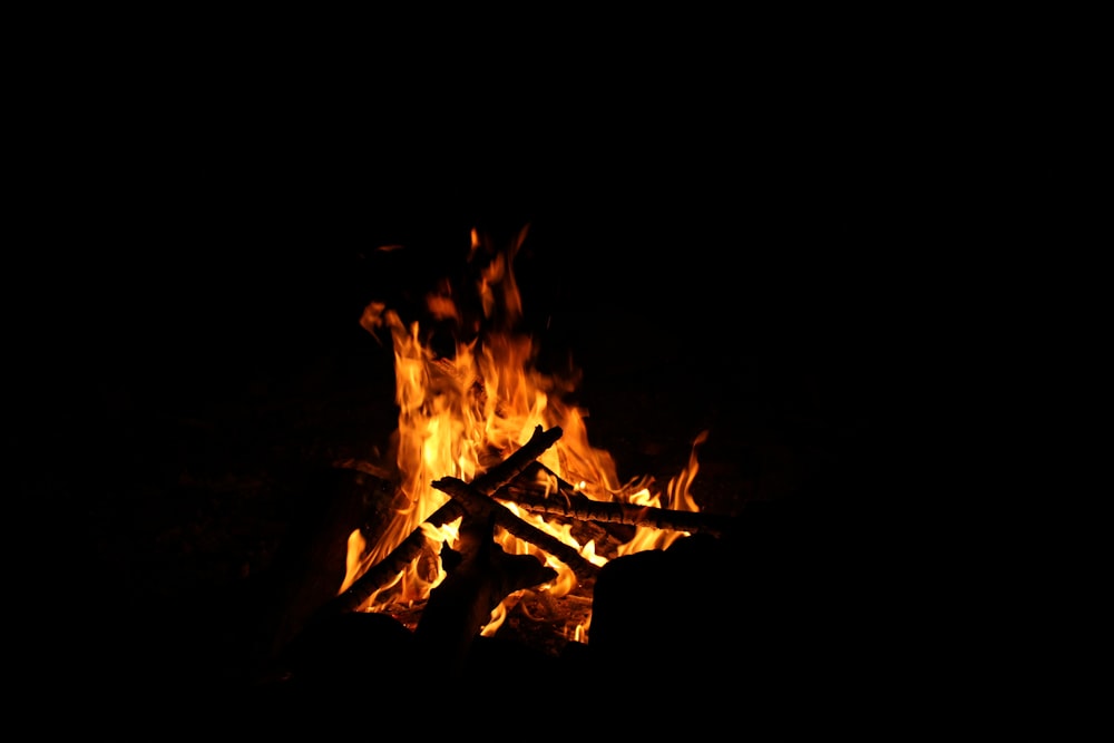 photo of bonfire