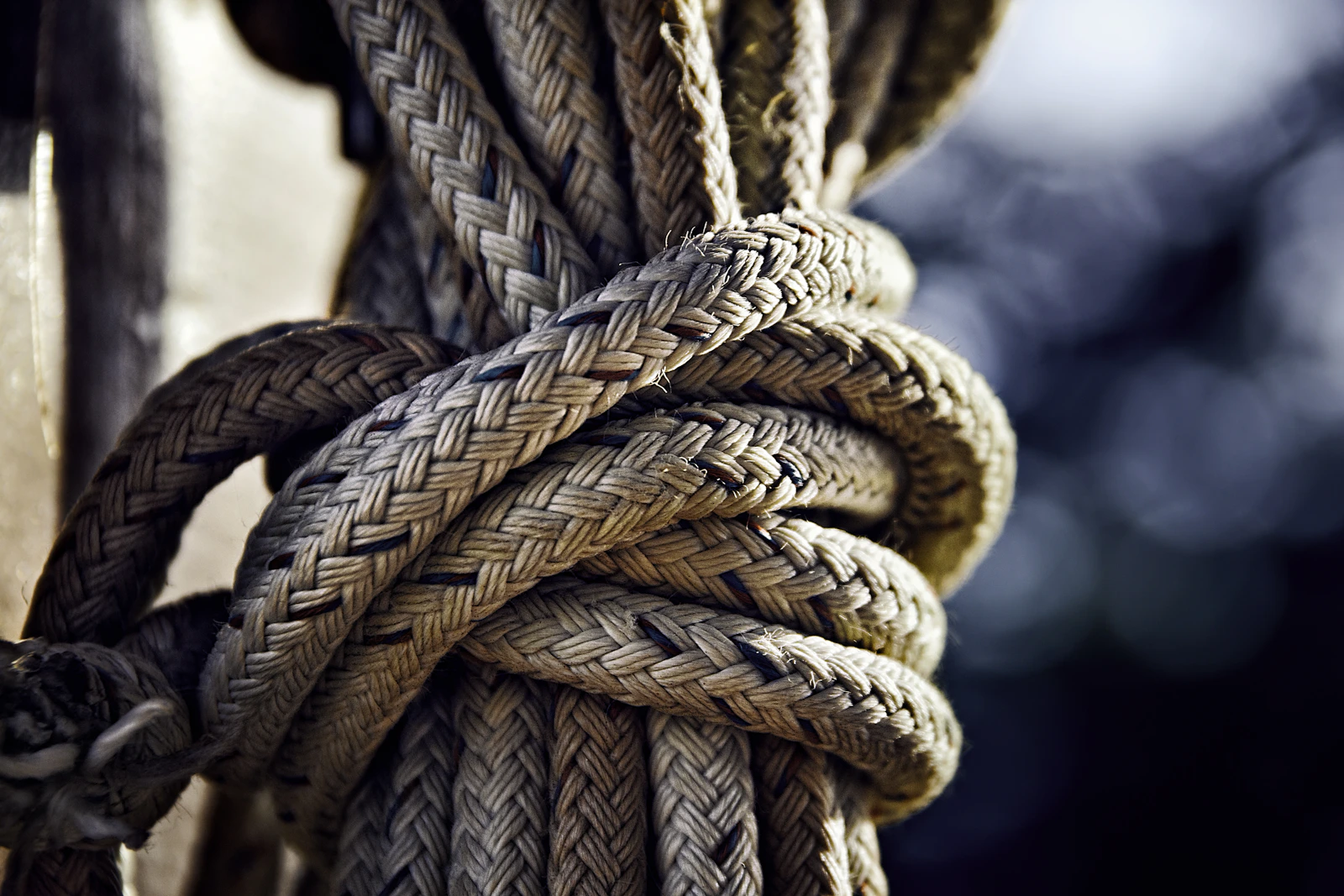 A tangled knot of cables, impossible to trace one strand from end to end