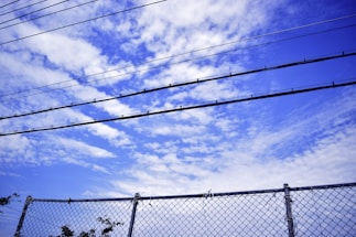 A close-up photo of galvanized farm fencing with sturdy metal posts under a bright sky
