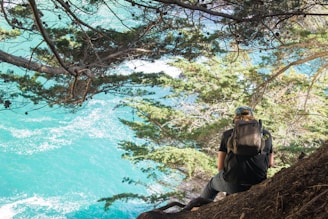A person with a backpack sits on a cliff's edge overlooking a serene, turquoise ocean. Sunlight filters through the trees, casting dappled shadows on the ground. The scene captures a sense of solitude and connection with nature.