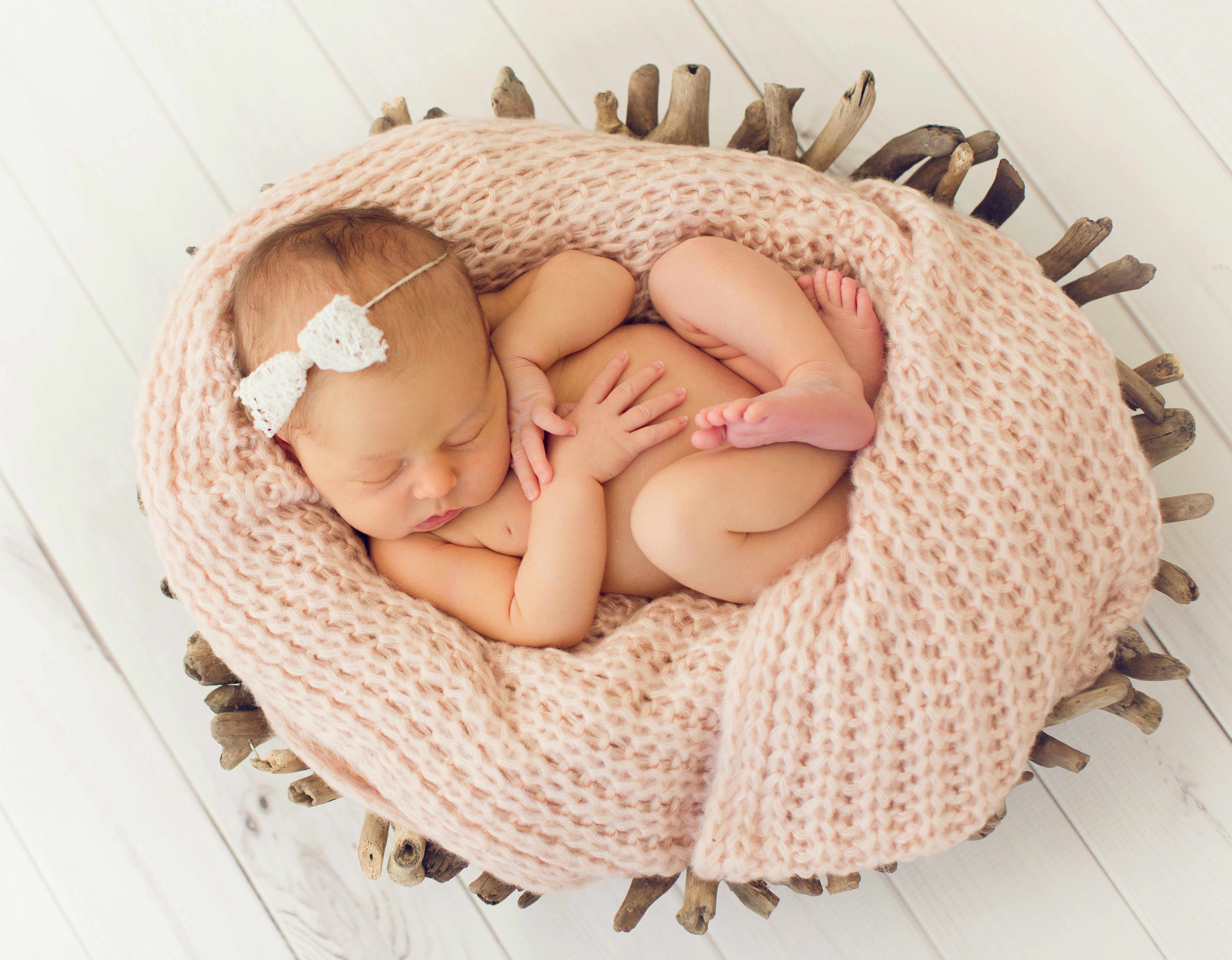 Free Unsplash photo from shawnee wilborn