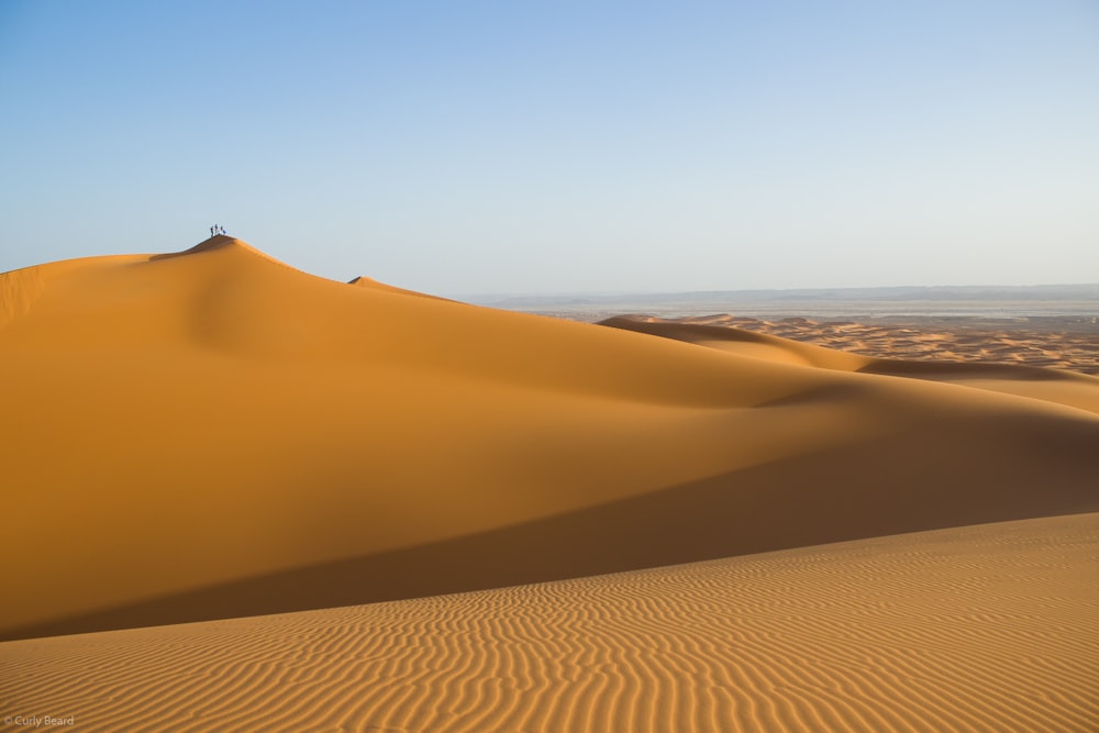 landscape photography of desert