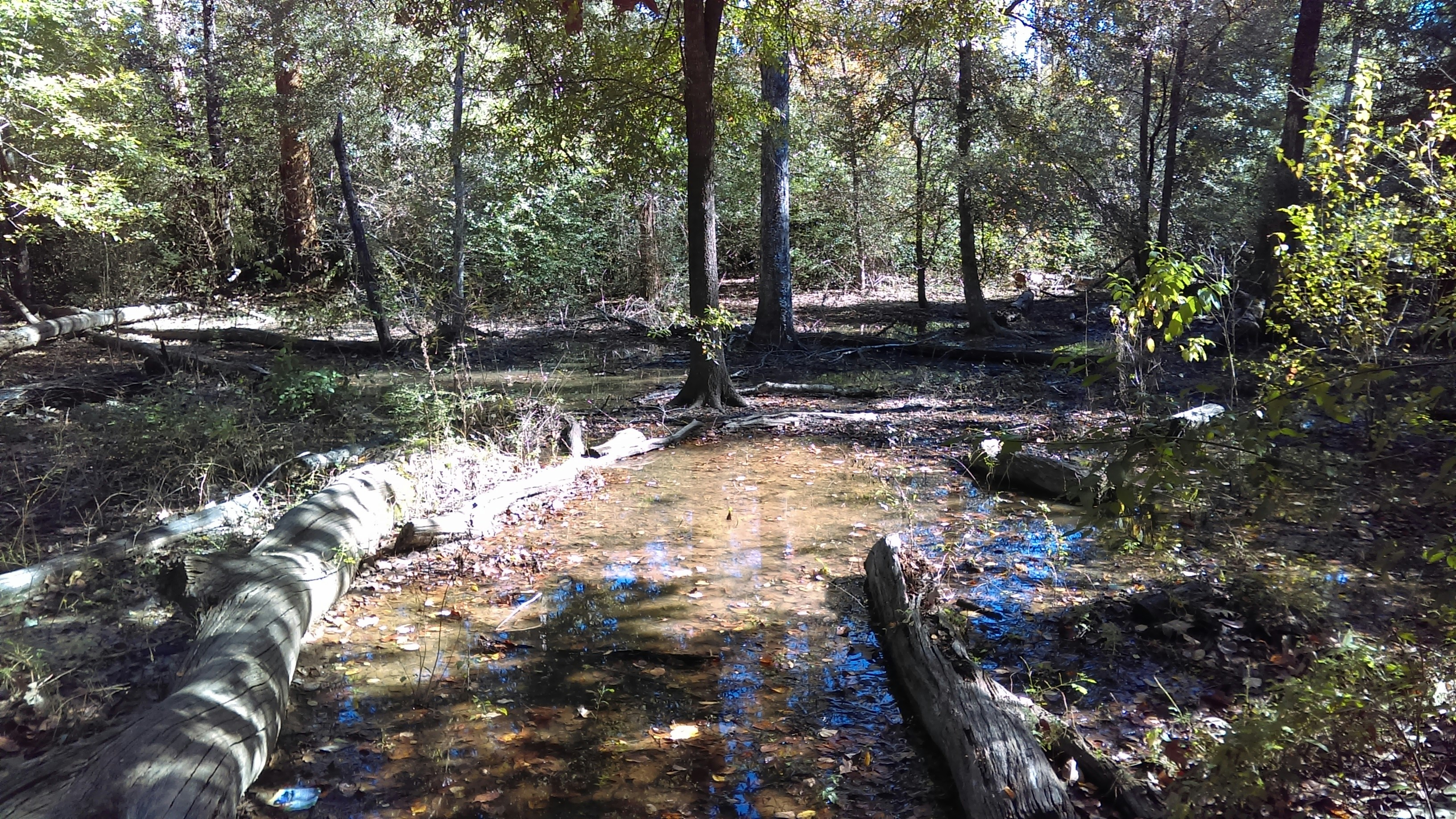 Free Unsplash photo from Tiffany Hightower