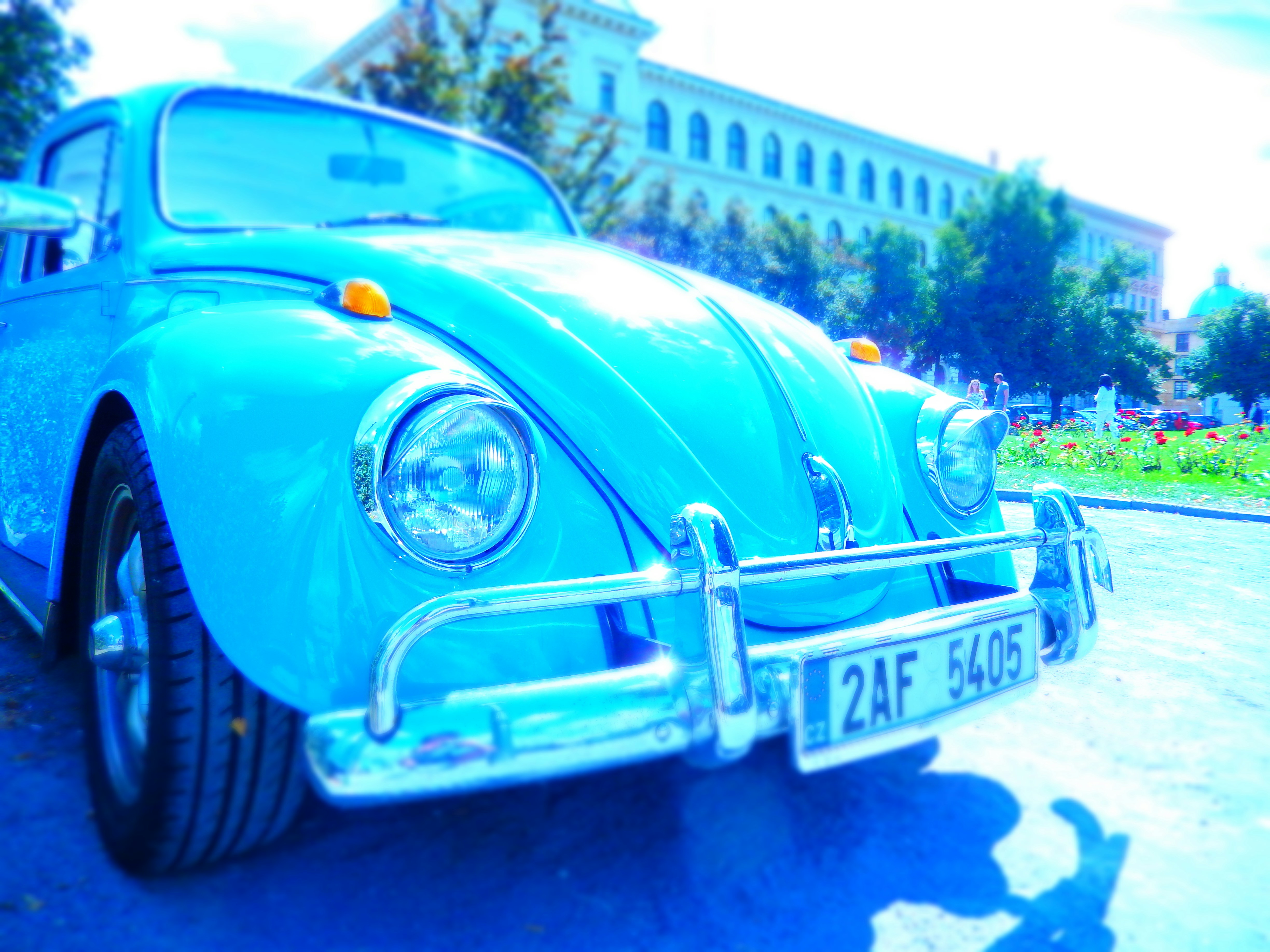 Free Unsplash photo from Lewis George