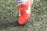 A close-up view of a red soccer cleat with white laces and a white logo on green artificial turf. The shoe is worn by a person whose sock is visible above the shoe.