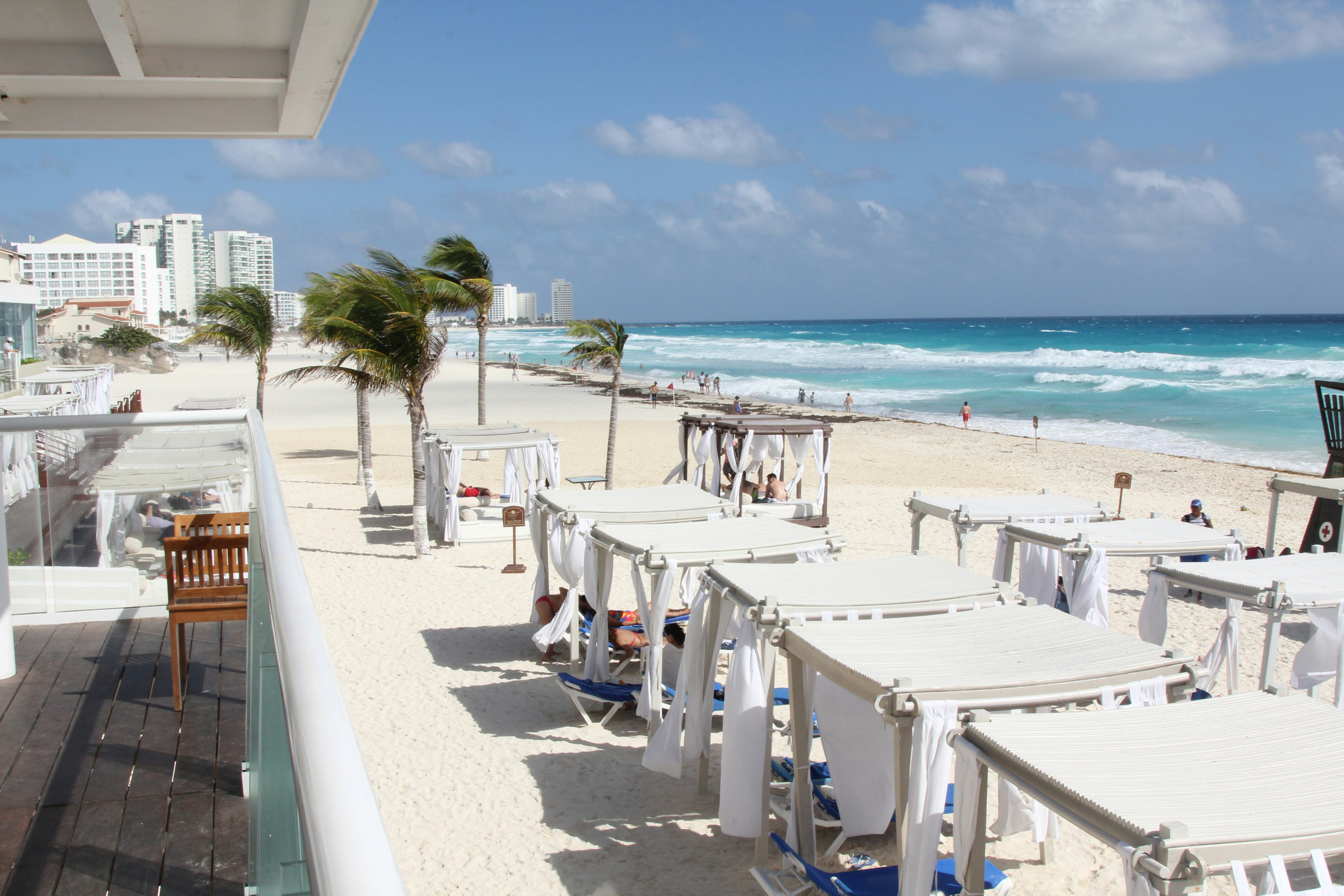 Free Unsplash photo from Praveen Bhavani