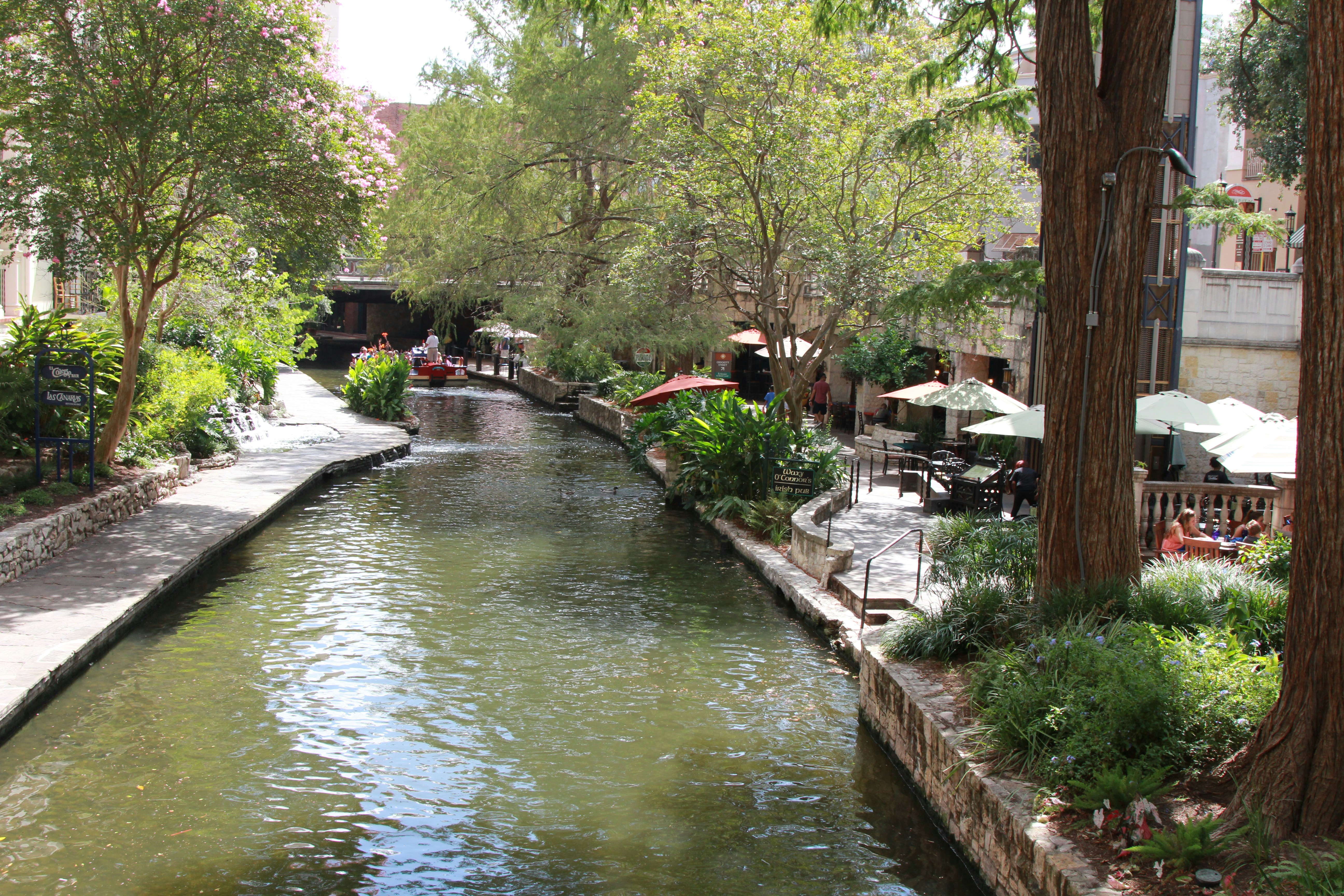 Free Unsplash photo from Praveen Bhavani