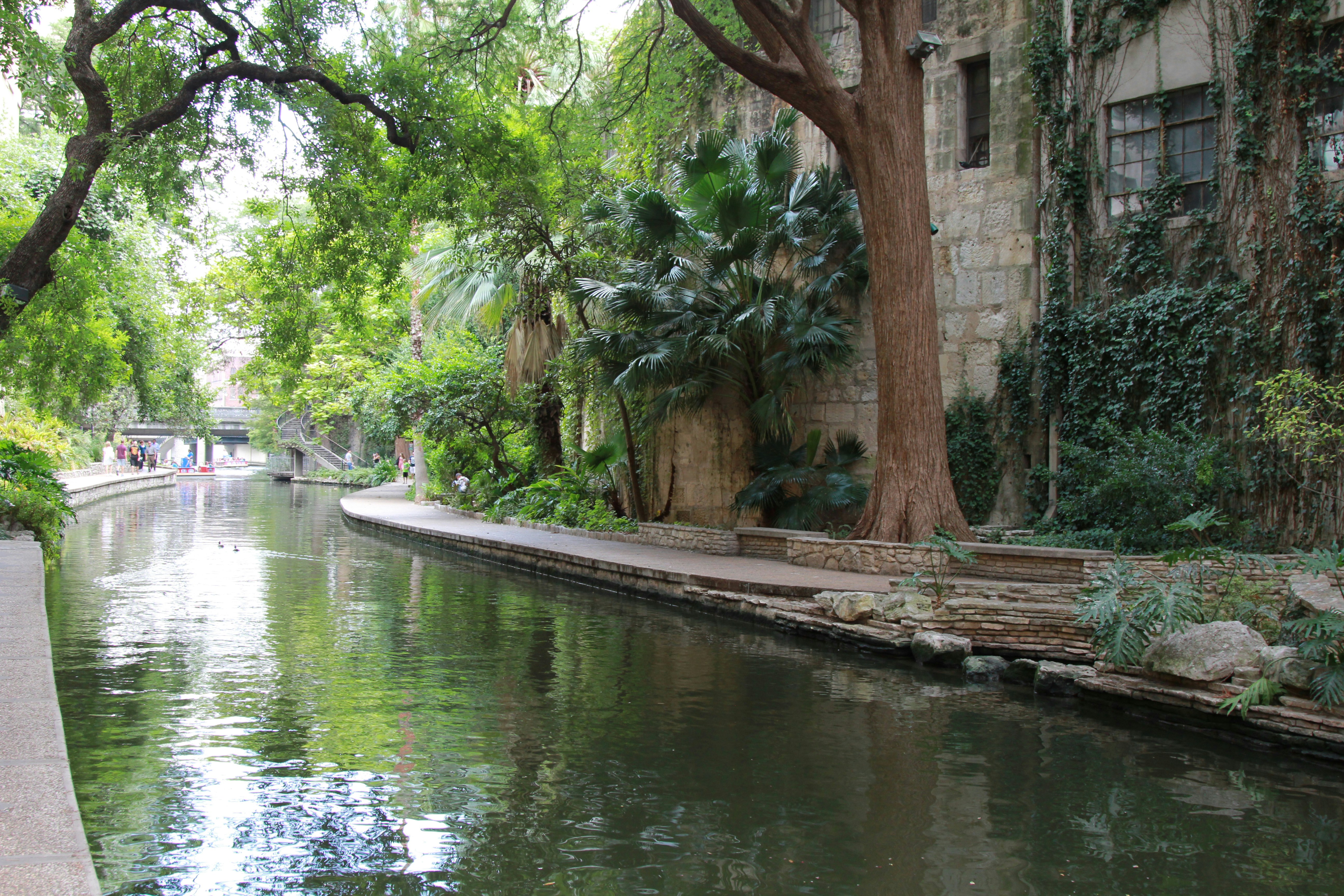 Free Unsplash photo from Praveen Bhavani