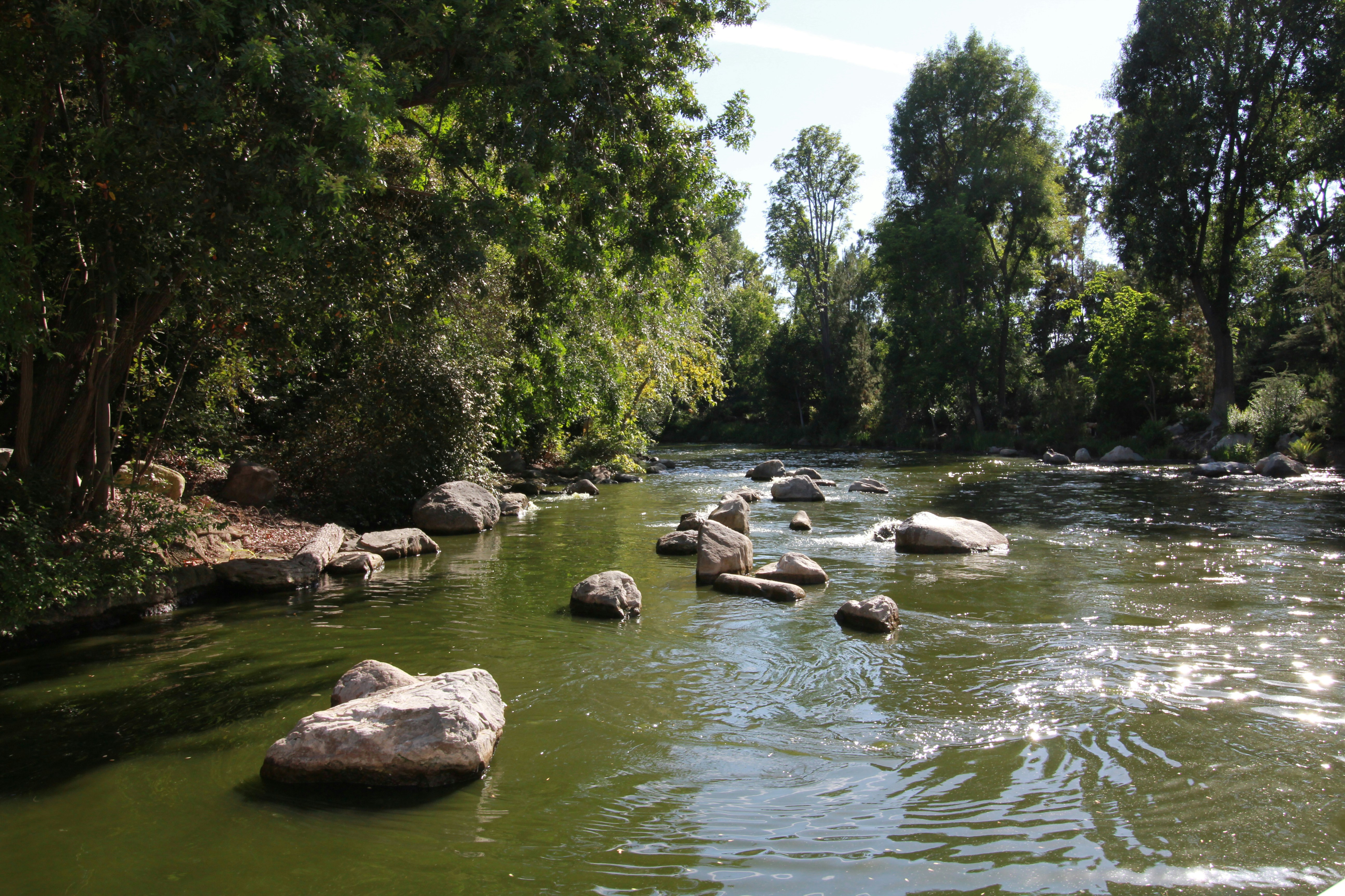 Free Unsplash photo from Praveen Bhavani