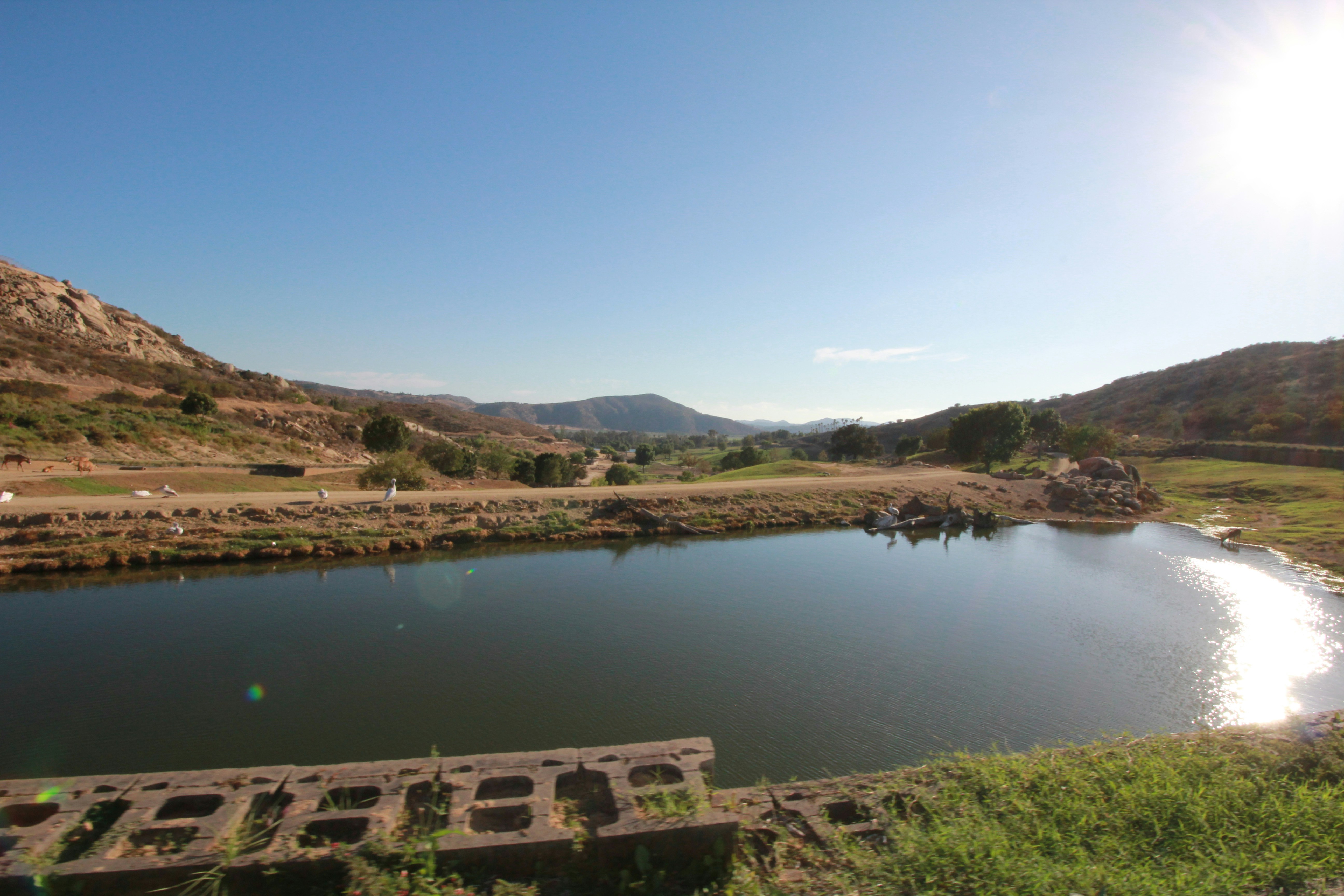 Free Unsplash photo from Praveen Bhavani