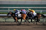 Three racehorses with jockeys compete on a dirt track, each wearing colorful silks with numbers visible on the saddlecloth. The horses are galloping rapidly, showing the intensity of the race.