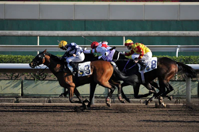 A vibrant racehorse thundering down the track with jockey in colorful silks.