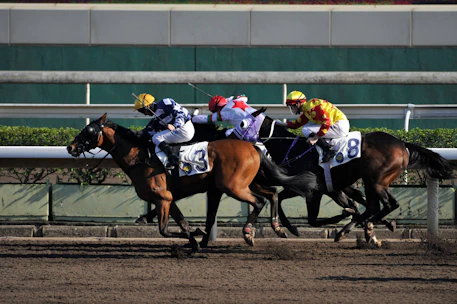 A close-up of a horse race with jockeys in colorful silks competing on a sunny day.