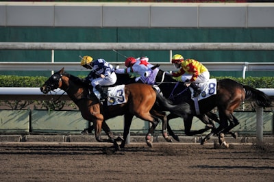Three racehorses with jockeys compete on a dirt track, each wearing colorful silks with numbers visible on the saddlecloth. The horses are galloping rapidly, showing the intensity of the race.