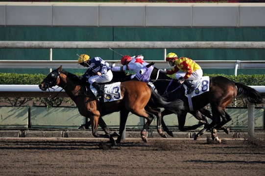 Three racehorses with jockeys compete on a dirt track, each wearing colorful silks with numbers visible on the saddlecloth. The horses are galloping rapidly, showing the intensity of the race.
