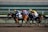 Three racehorses with jockeys compete on a dirt track, each wearing colorful silks with numbers visible on the saddlecloth. The horses are galloping rapidly, showing the intensity of the race.