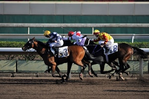 Three racehorses with jockeys compete on a dirt track, each wearing colorful silks with numbers visible on the saddlecloth. The horses are galloping rapidly, showing the intensity of the race.
