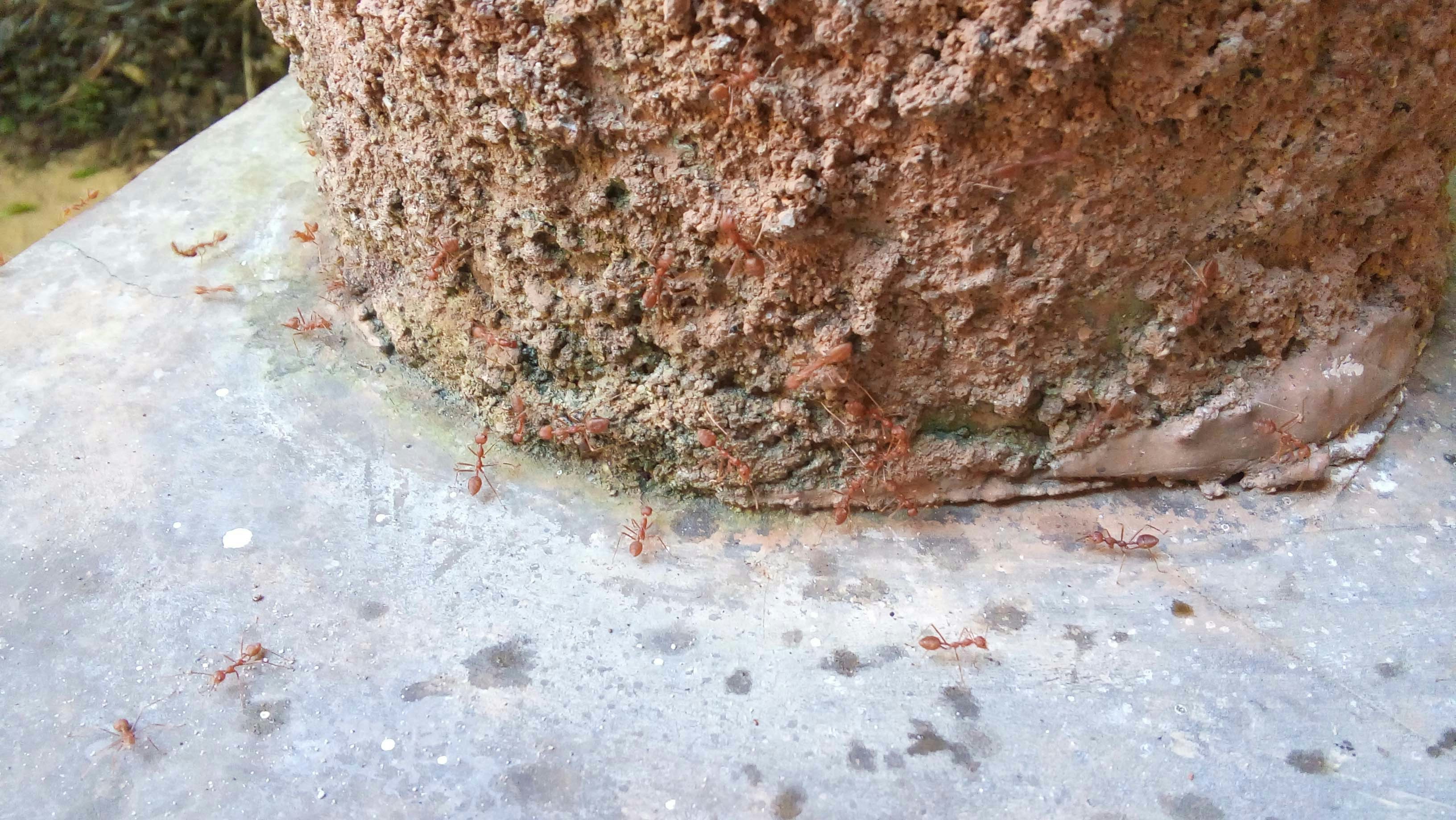 Free Unsplash photo from Jake Watawana